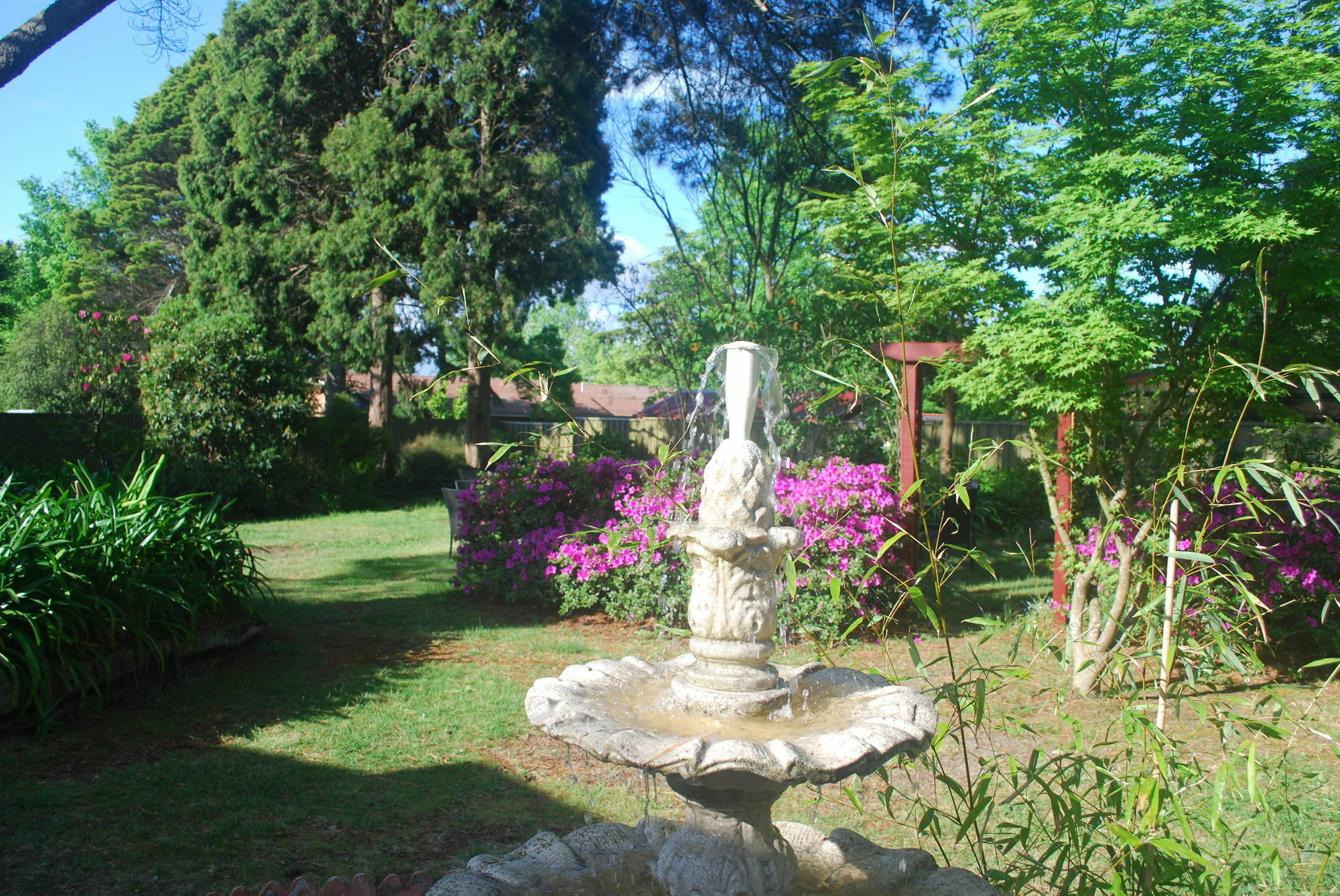 Norwood Mountain Lodge Blackheath Bagian luar foto